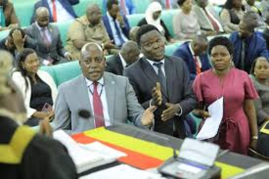 Government Strategies to Tackle Challenges in Uganda’s New Curriculum Implementation.