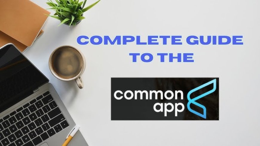 Common App Explained A Step-by-Step Guide for First Time Applicants