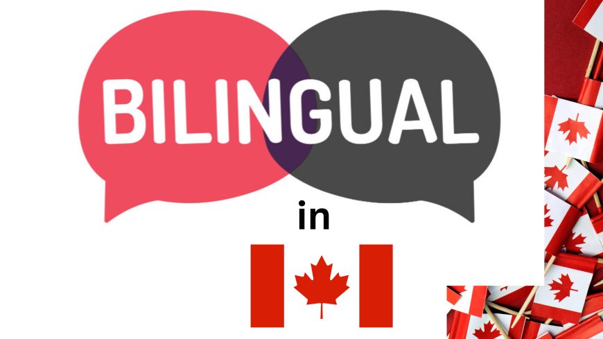 Bilingual study tools Canada