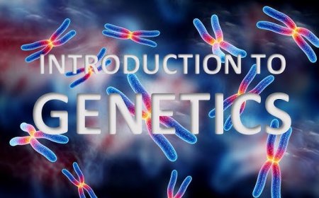 Understanding Genetics: A Complete Guide to Heredity and Inheritance