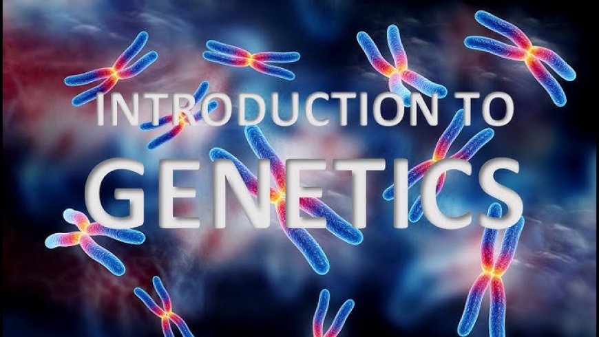 Understanding Genetics: A Complete Guide to Heredity and Inheritance